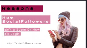 Reasons how Socialfollowers.com.my is not a scam